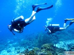Diving